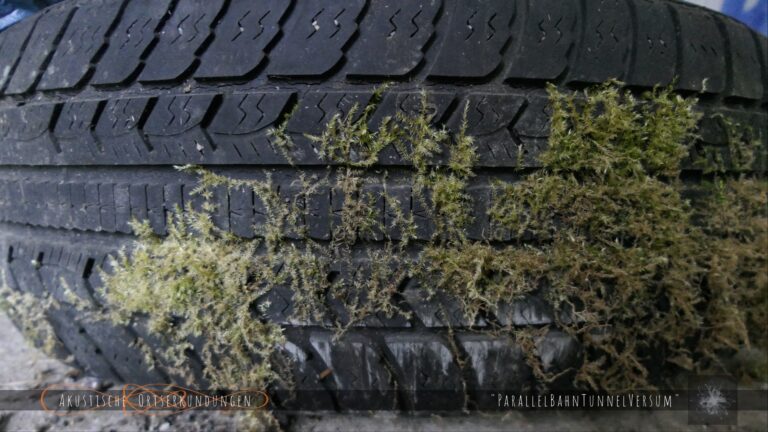 AOE_2025-PBTV_impression (17)