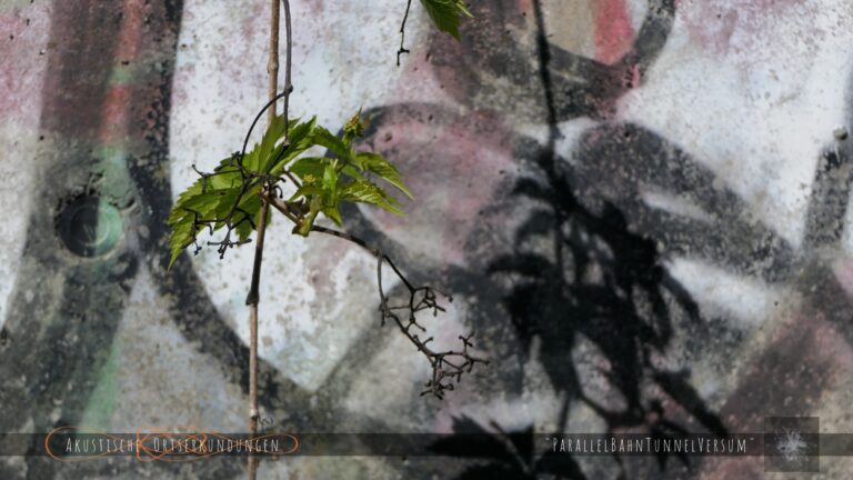 AOE_2025-PBTV_impression (22)